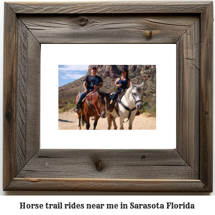 horse trail rides near me in Sarasota, Florida